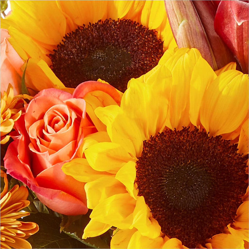 Acorn Lane Bouquet –  Vincent Fleuriste, Sainte-julie PQ