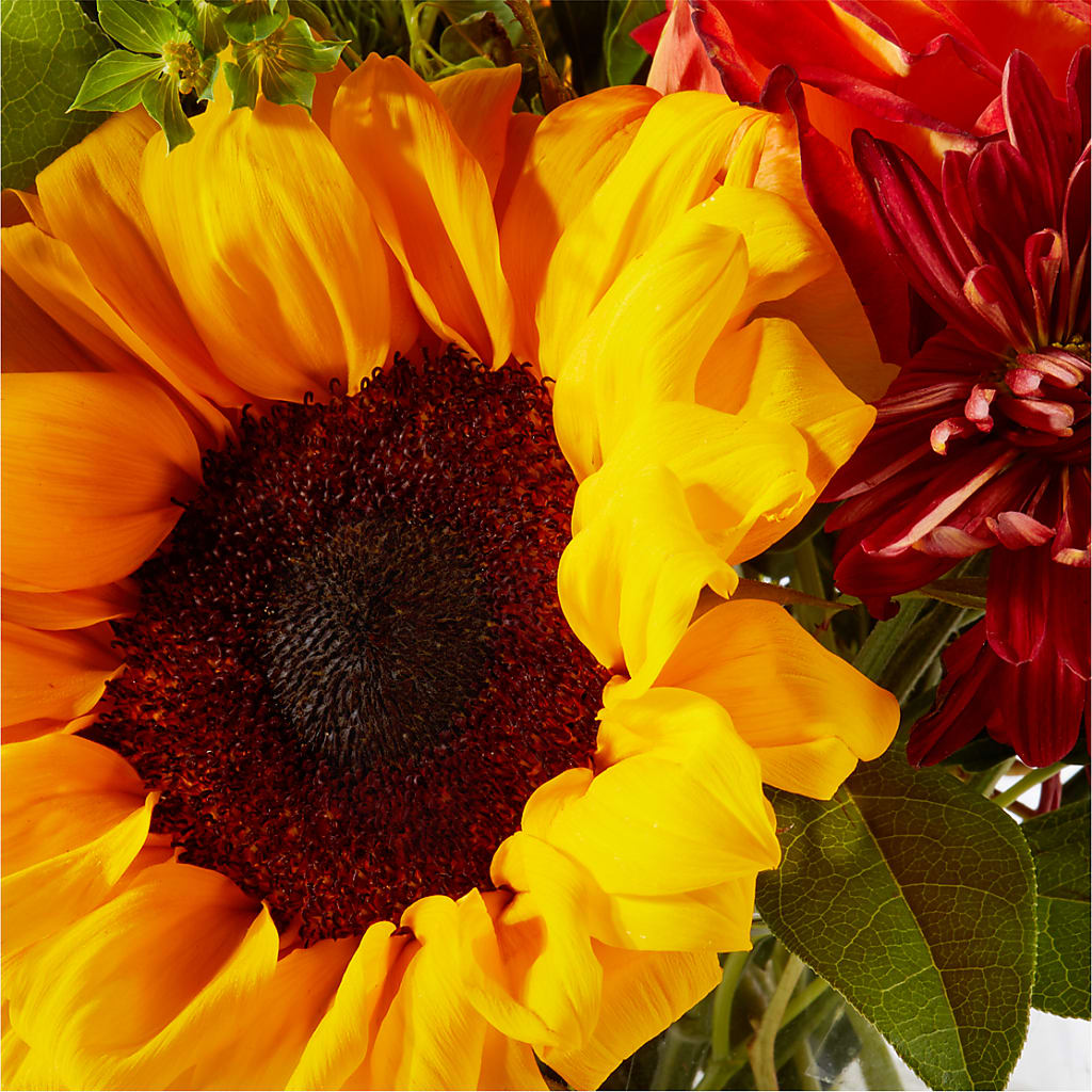 Harvest Festival Bouquet –  Vincent Fleuriste, Sainte-julie PQ
