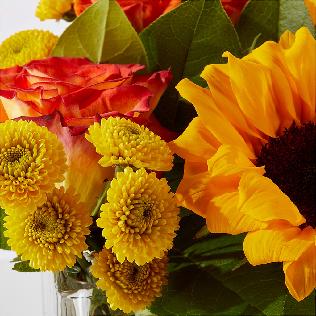 Picnic in the Park Bouquet –  Vincent Fleuriste, Sainte-julie PQ