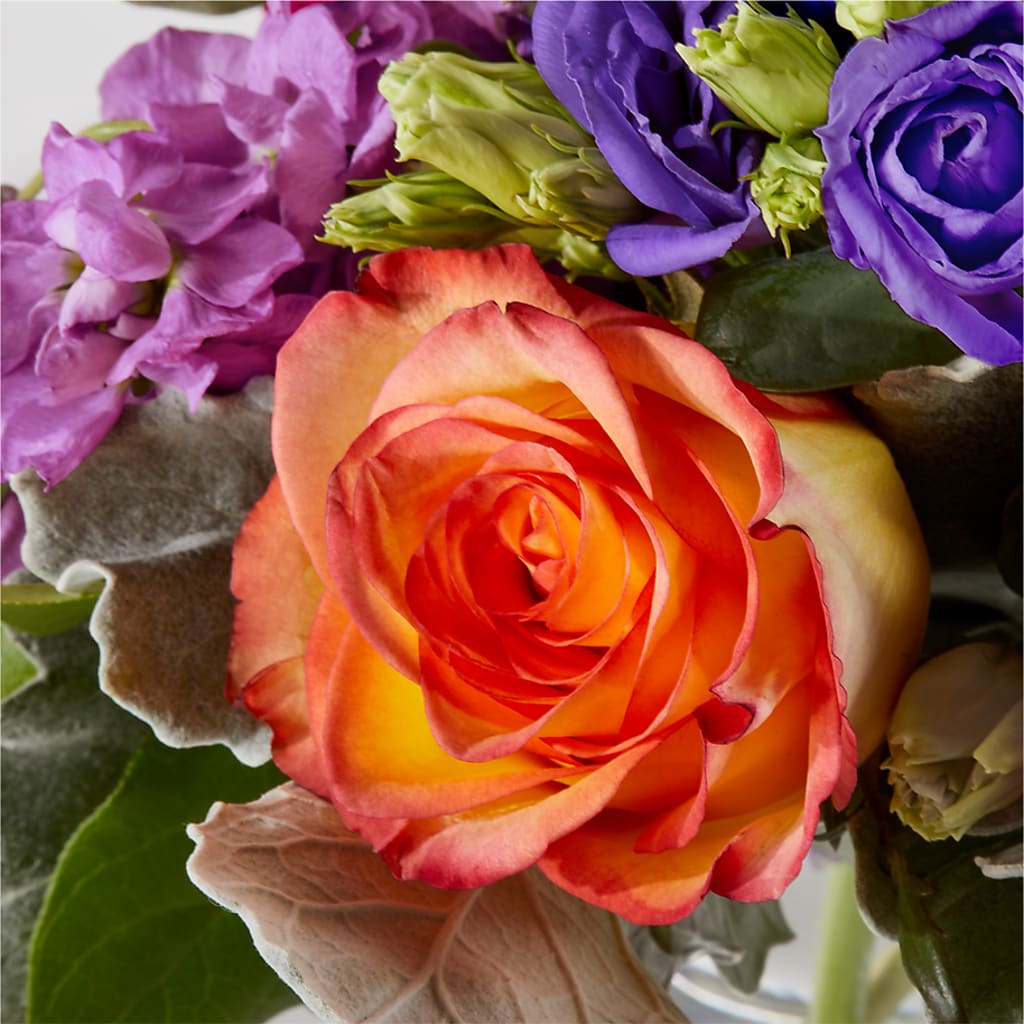 Sangria Bouquet –  Vincent Fleuriste, Sainte-julie PQ