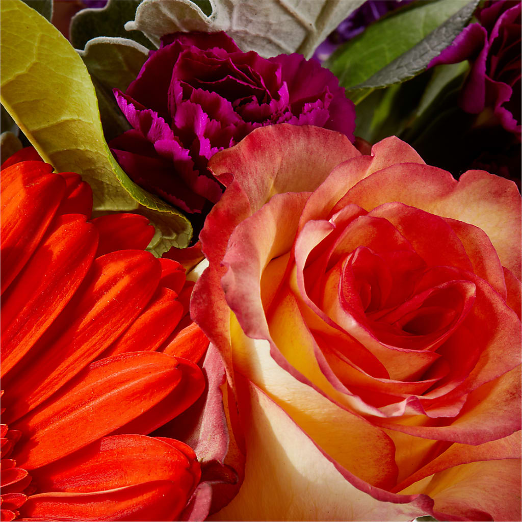 Sangria Bouquet –  Vincent Fleuriste, Sainte-julie PQ