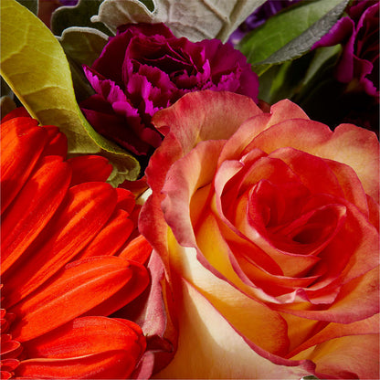Sangria Bouquet –  Vincent Fleuriste, Sainte-julie PQ