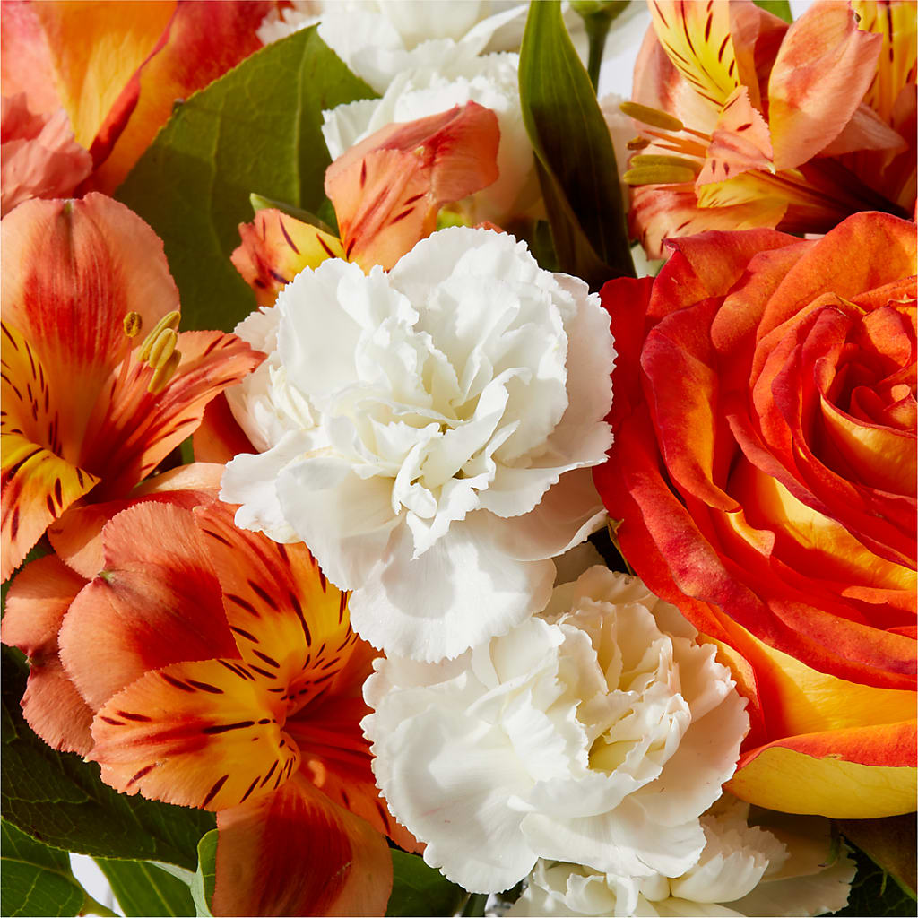 Apricot Glow Bouquet –  Vincent Fleuriste, Sainte-julie PQ