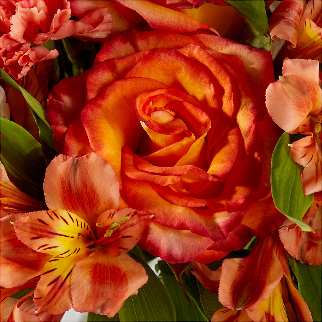 Apricot Glow Bouquet –  Vincent Fleuriste, Sainte-julie PQ