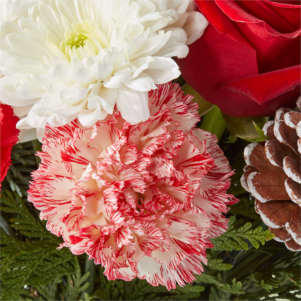 Candy Cane Lane Bouquet –  Vincent Fleuriste, Sainte-julie PQ