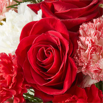 Candy Cane Lane Bouquet –  Vincent Fleuriste, Sainte-julie PQ