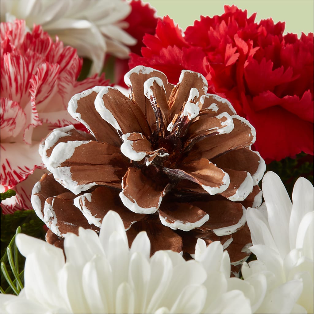 Candy Cane Lane Bouquet –  Vincent Fleuriste, Sainte-julie PQ