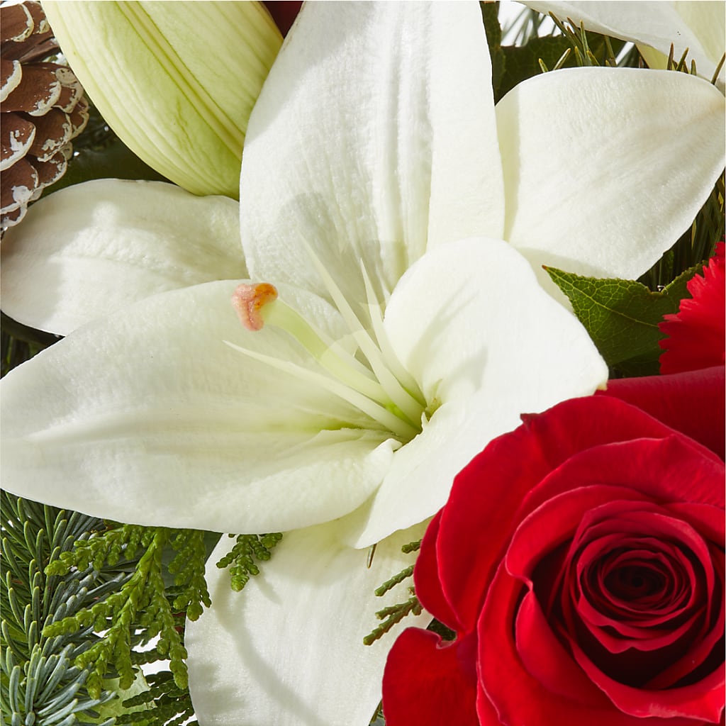 Oh So Jolly Bouquet –  Vincent Fleuriste, Sainte-julie PQ