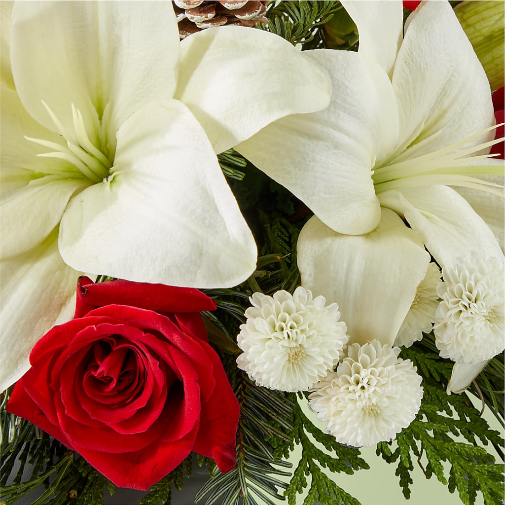 Seasonal Festivities Centerpiece –  Vincent Fleuriste, Sainte-julie PQ