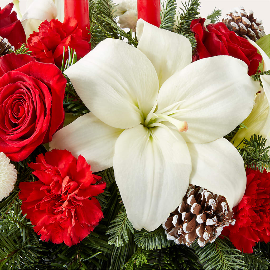 Seasonal Festivities Centerpiece –  Vincent Fleuriste, Sainte-julie PQ