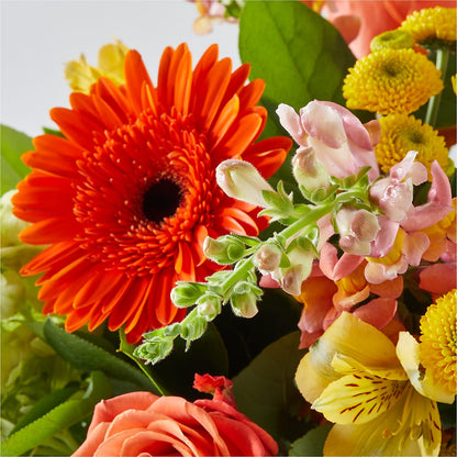 Autumn Sunshine Bouquet –  Vincent Fleuriste, Sainte-julie PQ