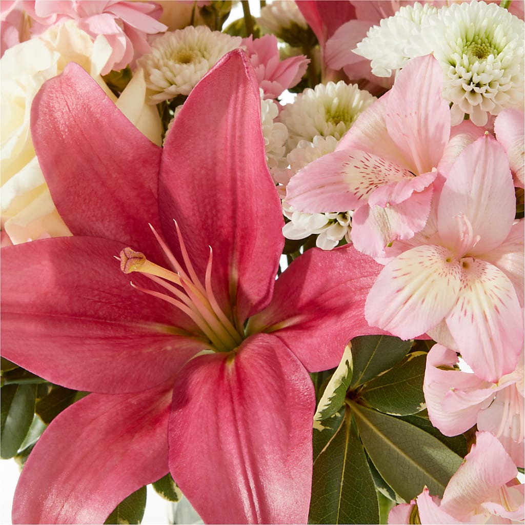 Piece of Cake Bouquet –  Vincent Fleuriste, Sainte-julie PQ