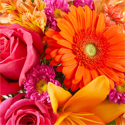 Soiree Bouquet –  Vincent Fleuriste, Sainte-julie PQ