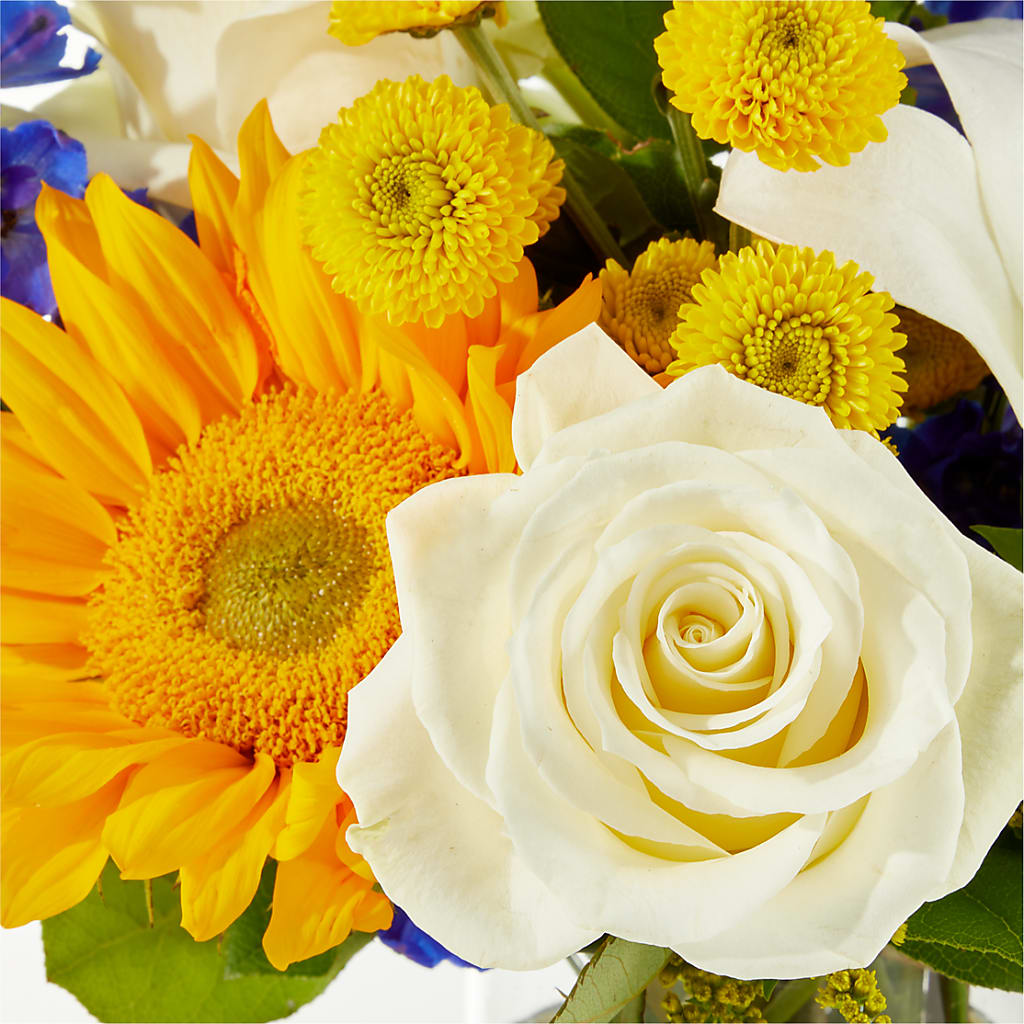 Stargazing Bouquet –  Vincent Fleuriste, Sainte-julie PQ