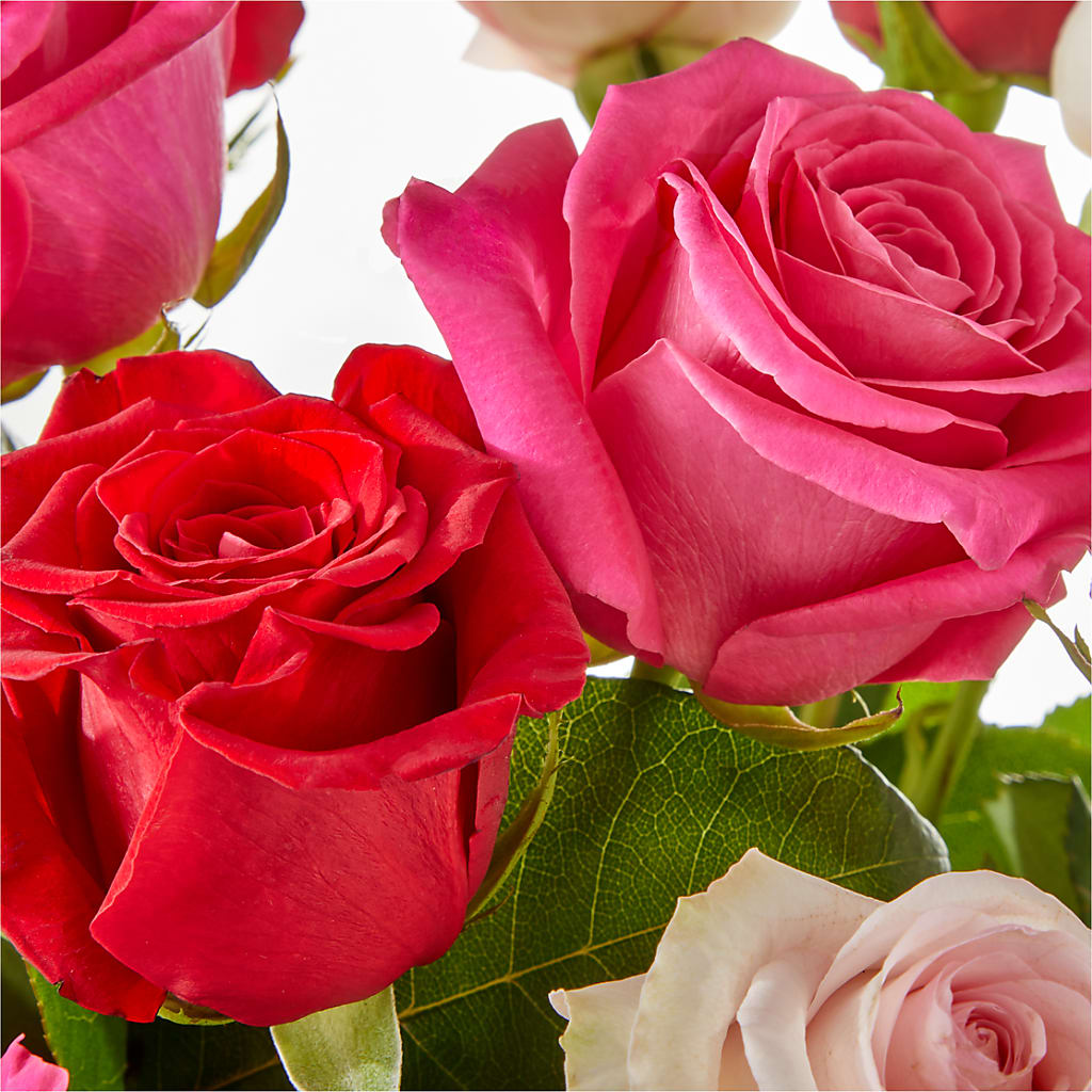Charming Rose Bouquet –  Vincent Fleuriste, Sainte-julie PQ