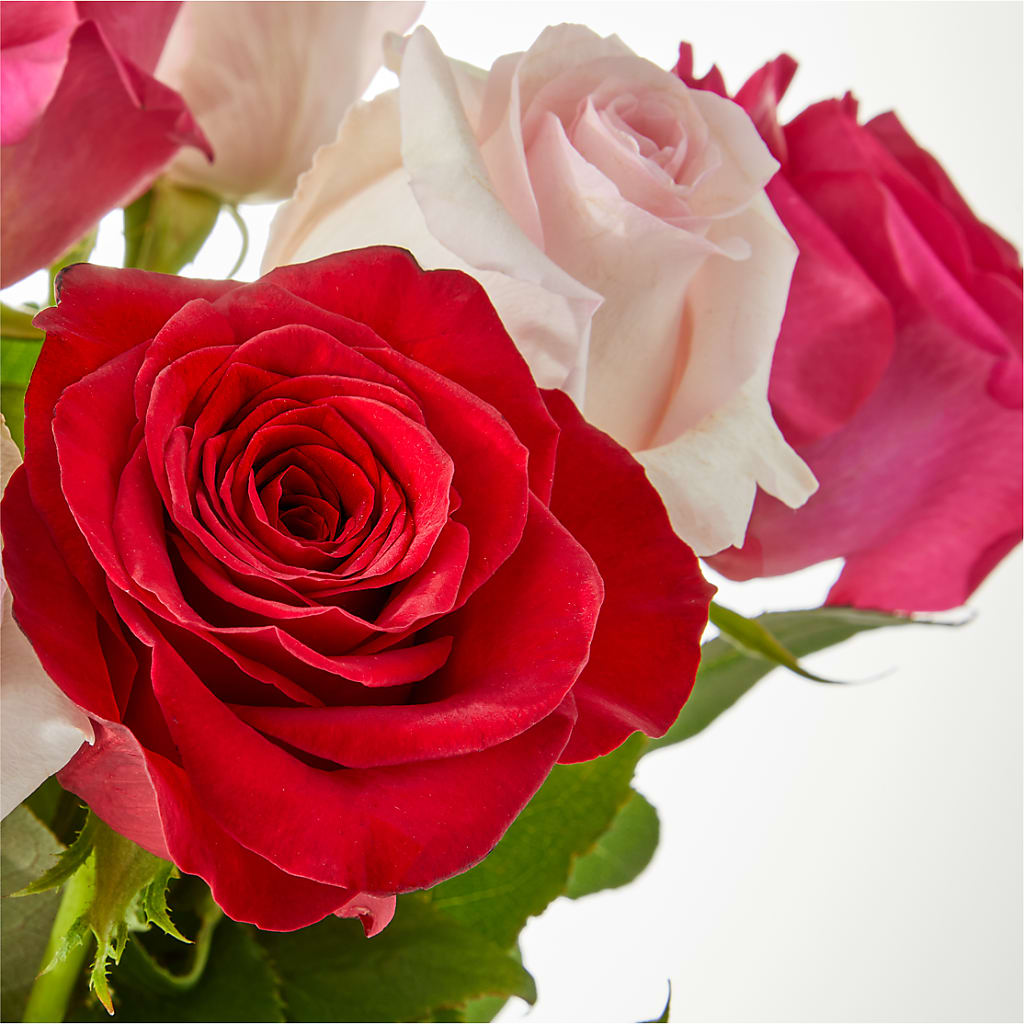 Charming Rose Bouquet –  Vincent Fleuriste, Sainte-julie PQ