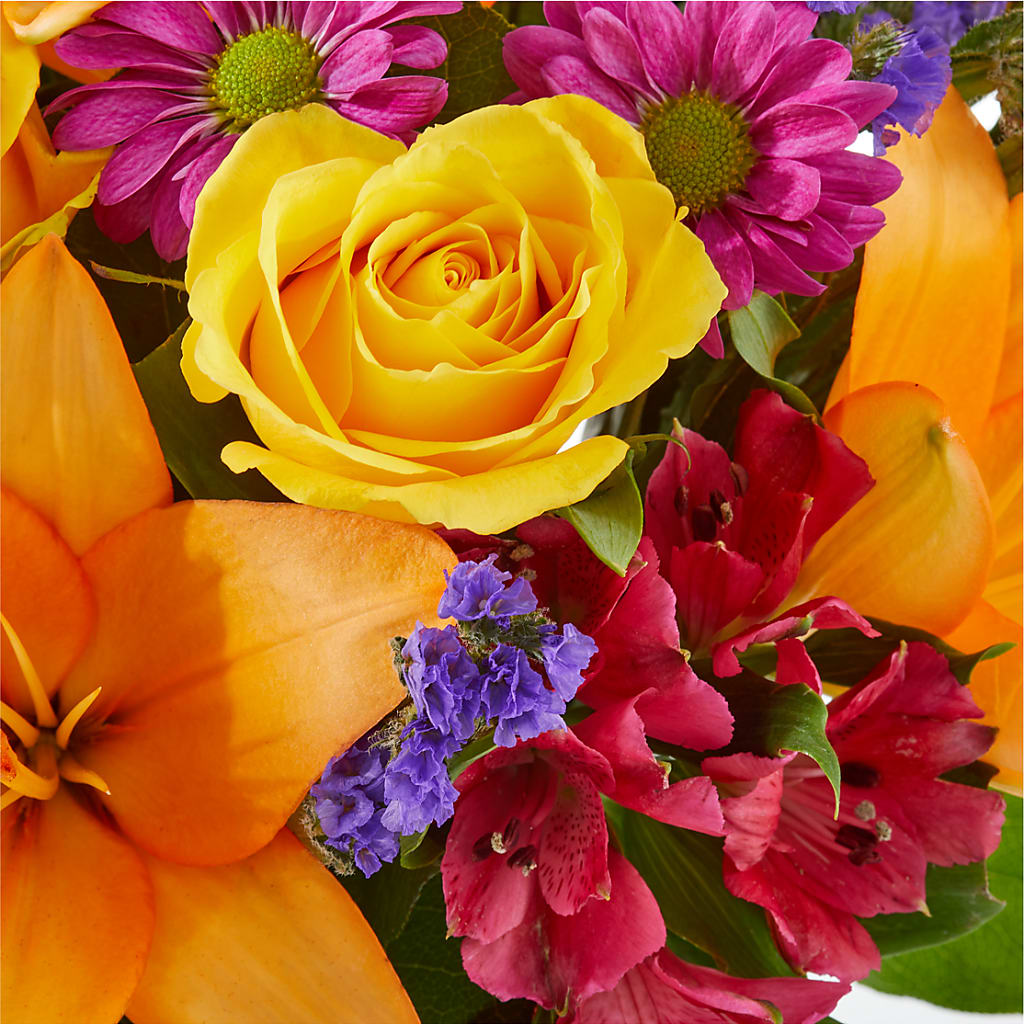 Colorful Visions Bouquet –  Vincent Fleuriste, Sainte-julie PQ