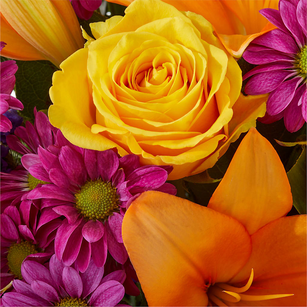 Colorful Visions Bouquet –  Vincent Fleuriste, Sainte-julie PQ