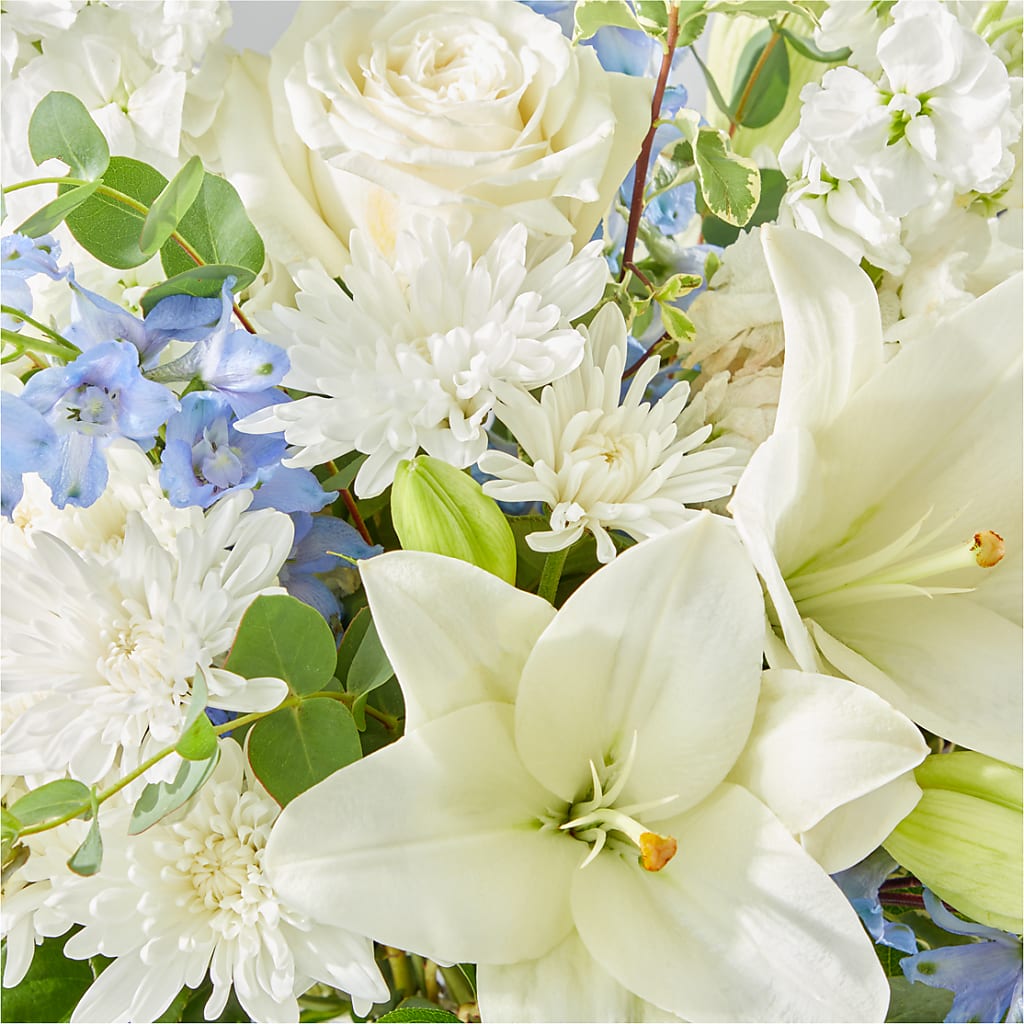 Peace of Mind Bouquet –  Vincent Fleuriste, Sainte-julie PQ