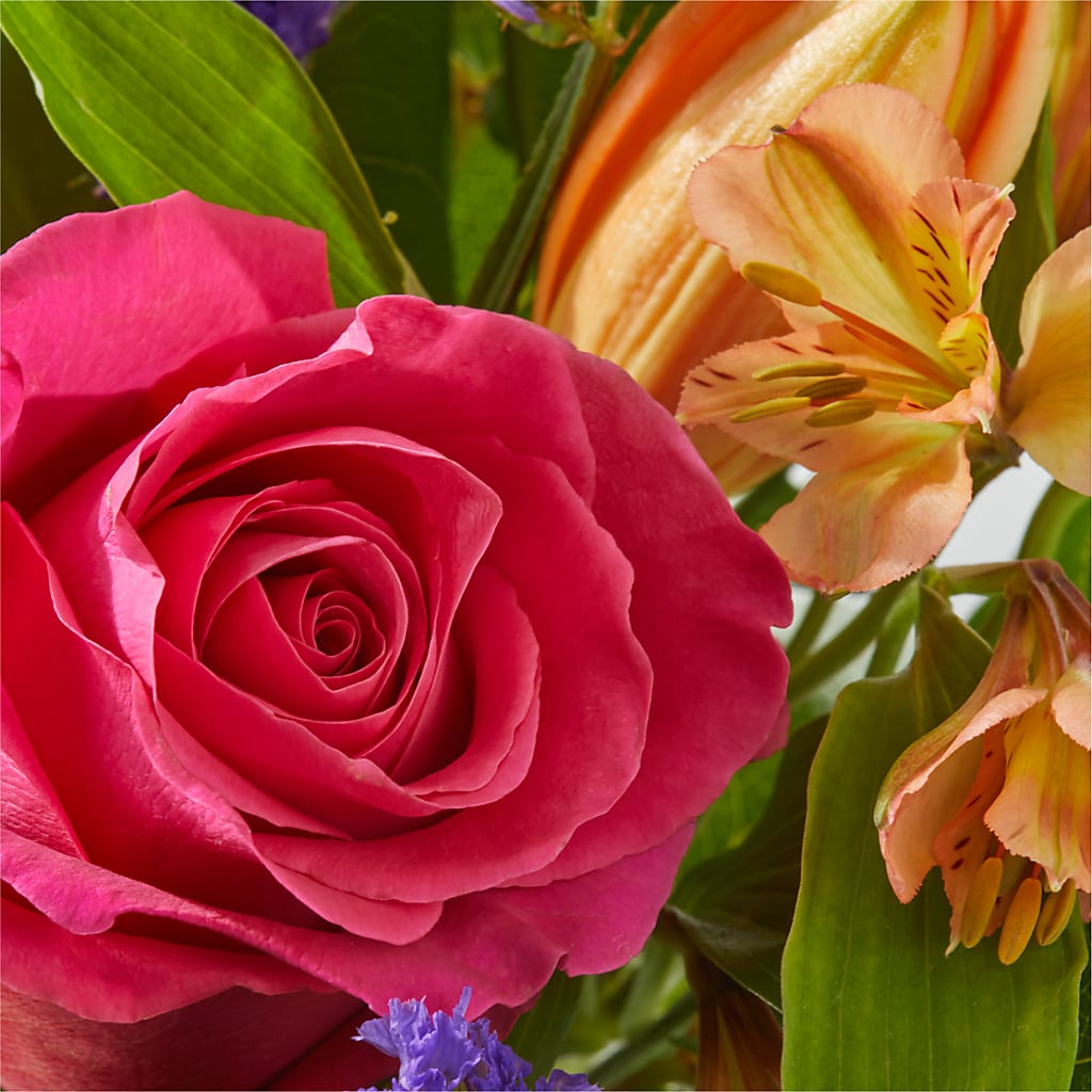 Joyful Bouquet –  Vincent Fleuriste, Sainte-julie PQ