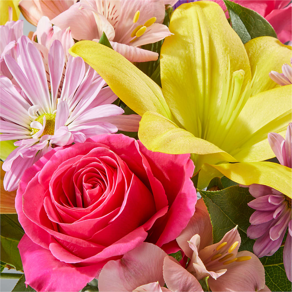 Sprinkles Bouquet –  Vincent Fleuriste, Sainte-julie PQ