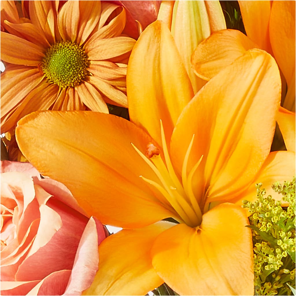 Harvest Hayride Bouquet –  Vincent Fleuriste, Sainte-julie PQ