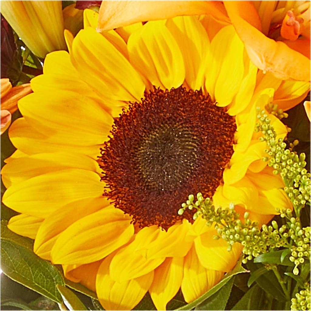 Seasons Change Bouquet –  Vincent Fleuriste, Sainte-julie PQ
