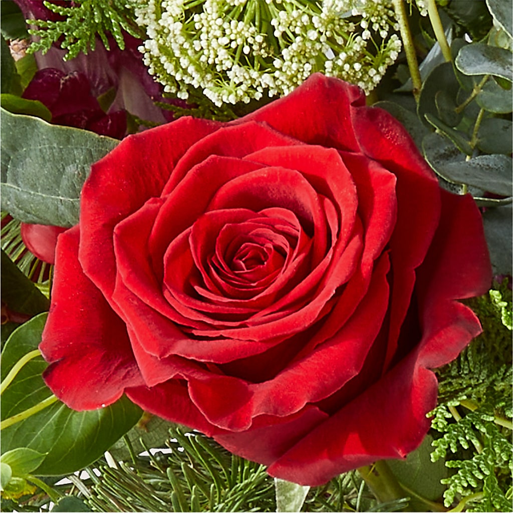 Cranberry Fizz Bouquet –  Vincent Fleuriste, Sainte-julie PQ