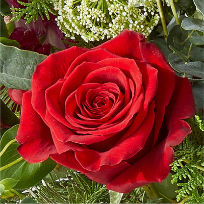Cranberry Fizz Bouquet –  Vincent Fleuriste, Sainte-julie PQ