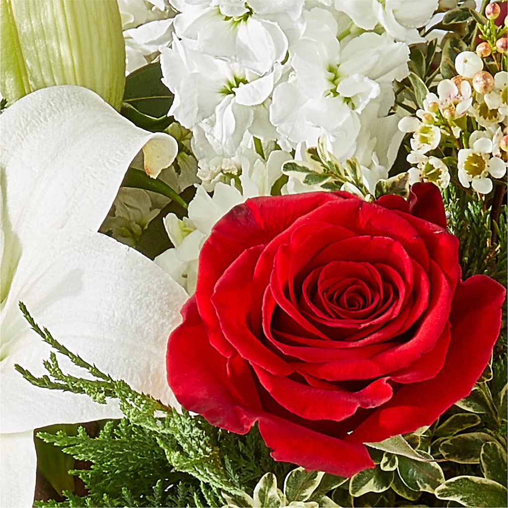Twinkle Lights Bouquet –  Vincent Fleuriste, Sainte-julie PQ