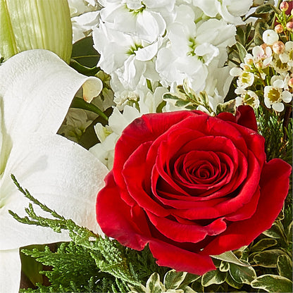 Twinkle Lights Bouquet –  Vincent Fleuriste, Sainte-julie PQ
