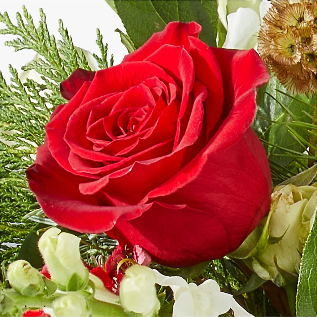 Deck the Halls Bouquet –  Vincent Fleuriste, Sainte-julie PQ