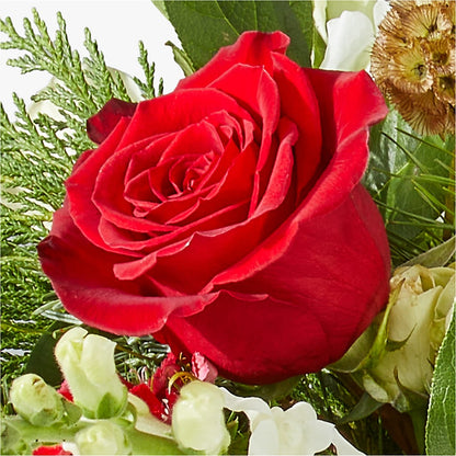 Deck the Halls Bouquet –  Vincent Fleuriste, Sainte-julie PQ