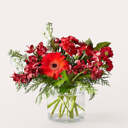Holidaisy Bouquet –  Vincent Fleuriste, Sainte-julie PQ
