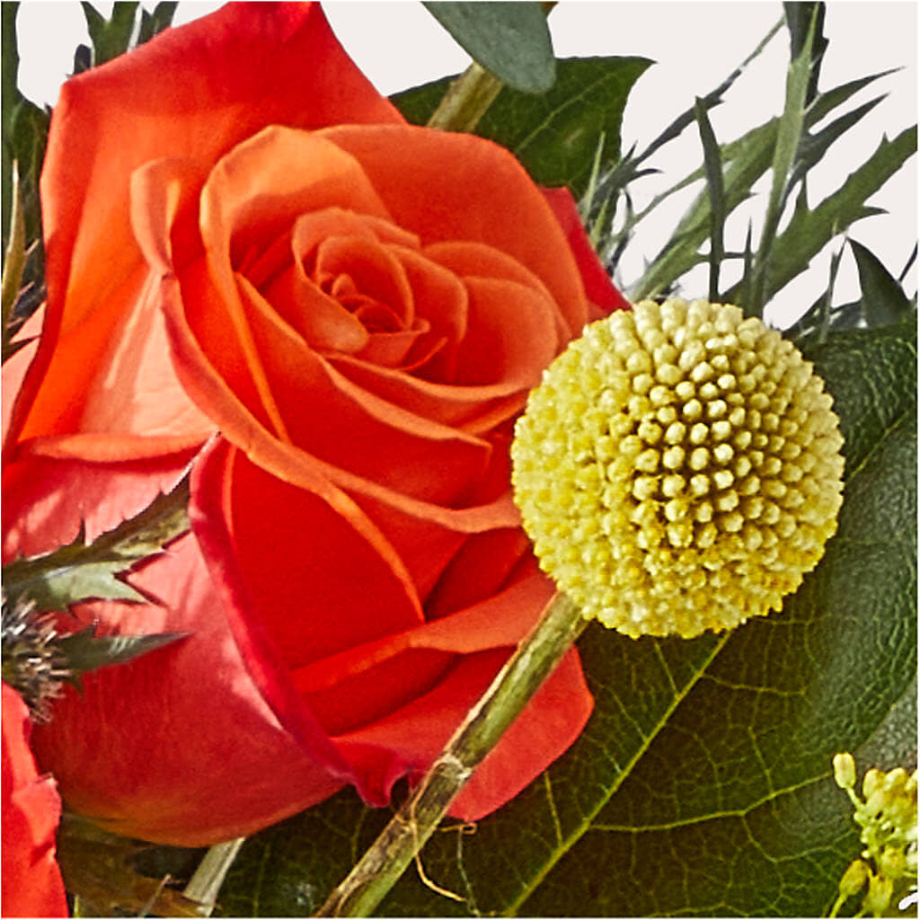 Disco Bouquet –  Vincent Fleuriste, Sainte-julie PQ
