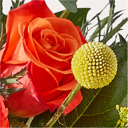Disco Bouquet –  Vincent Fleuriste, Sainte-julie PQ