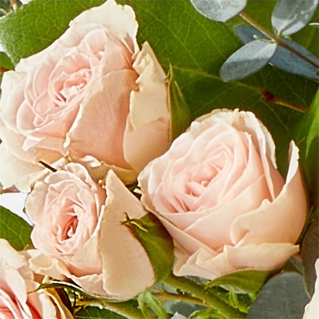 Inspired Bouquet –  Vincent Fleuriste, Sainte-julie PQ