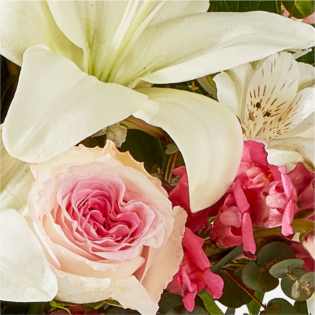 Ballet Slippers Bouquet –  Vincent Fleuriste, Sainte-julie PQ