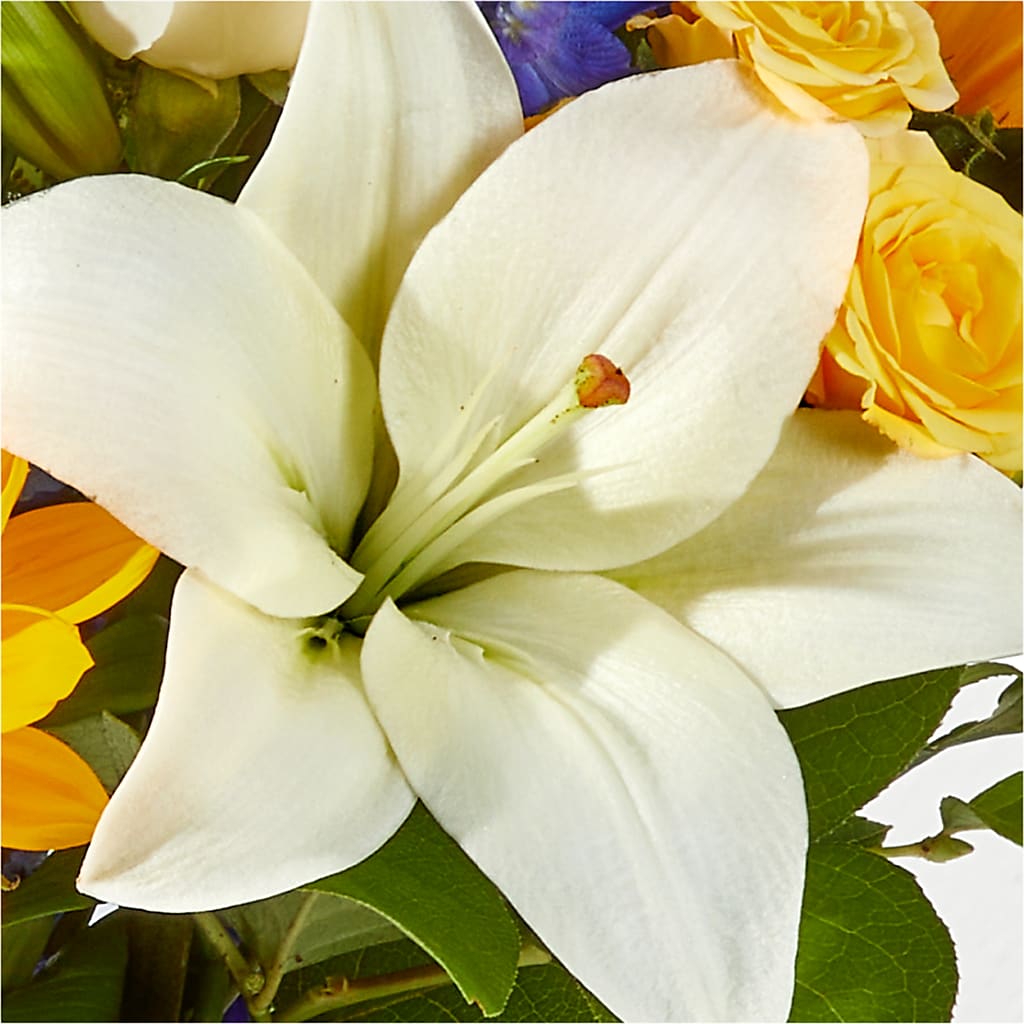 Wonderfully Sunny Bouquet –  Vincent Fleuriste, Sainte-julie PQ