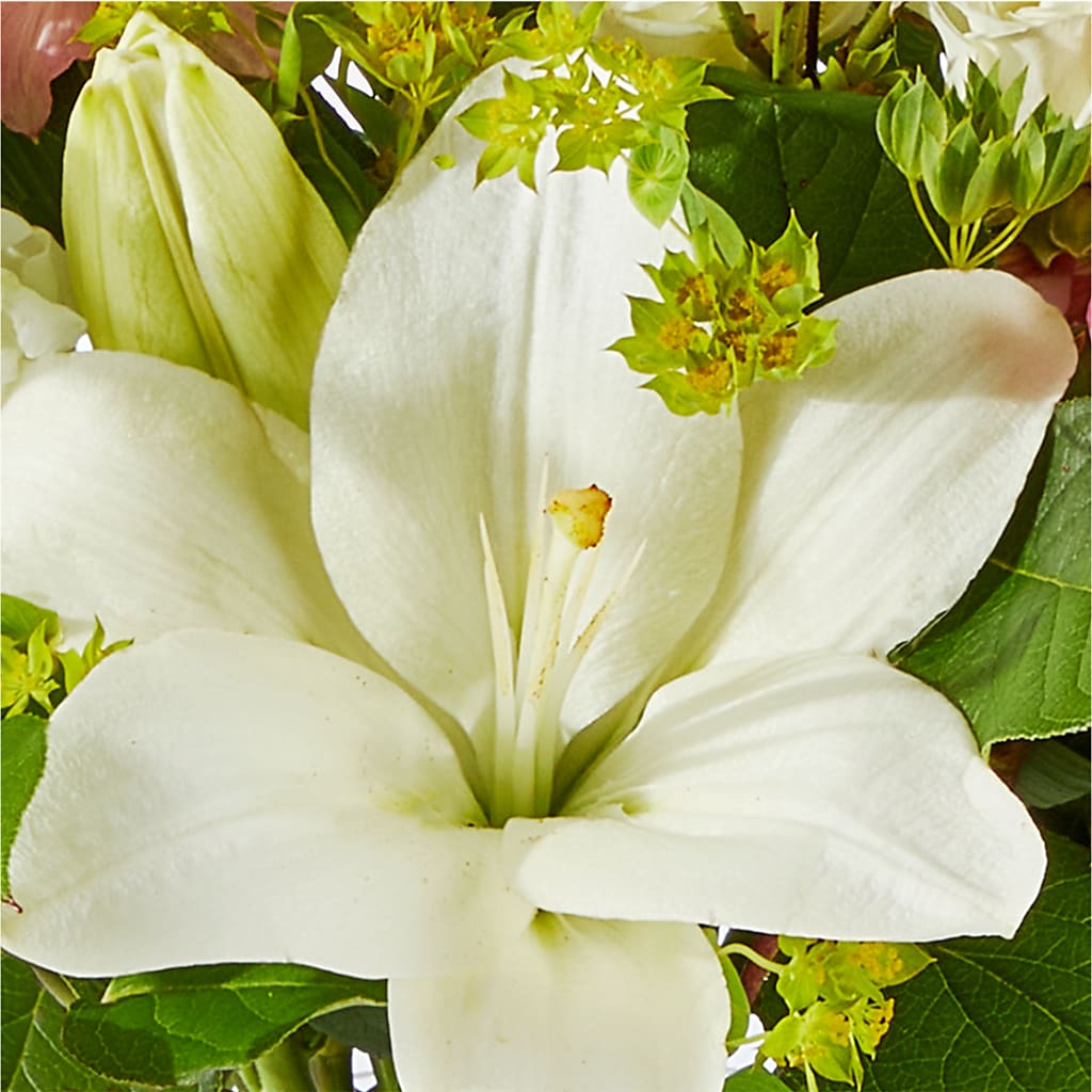 Fondly Bouquet –  Vincent Fleuriste, Sainte-julie PQ
