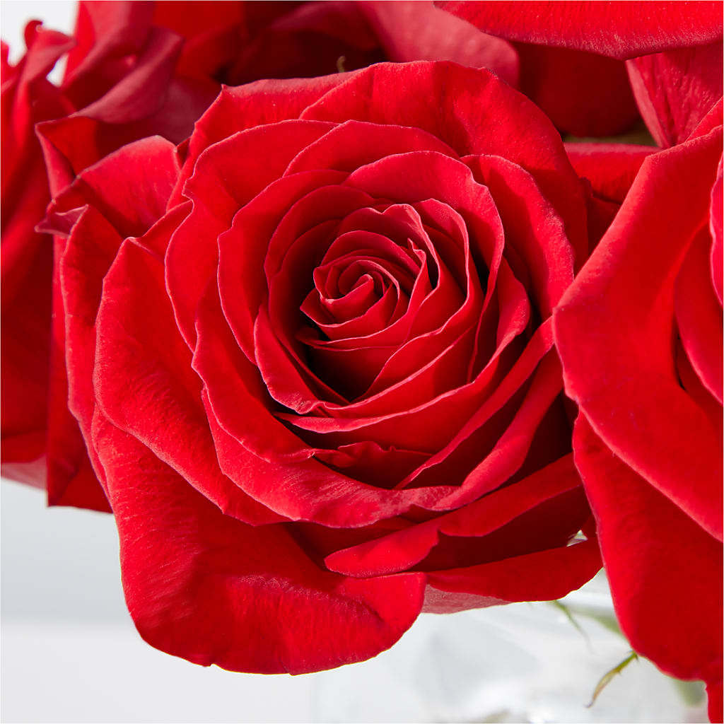 Cupid's Embrace Red Rose Bouquet –  Vincent Fleuriste, Sainte-julie PQ